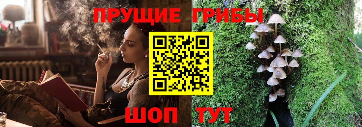 Псилоцибиновые грибы MAGIC MUSHROOMS Будённовск